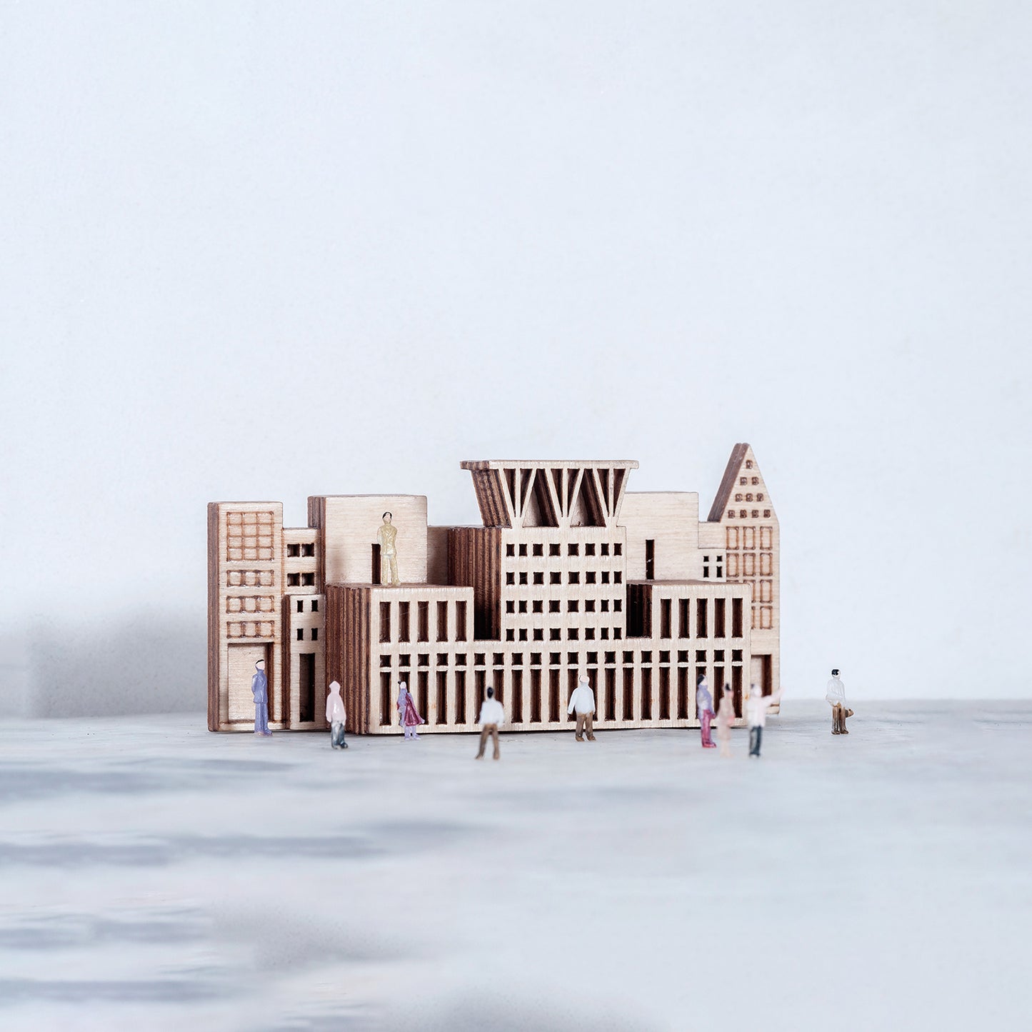 Denver Public Library Wall Hook