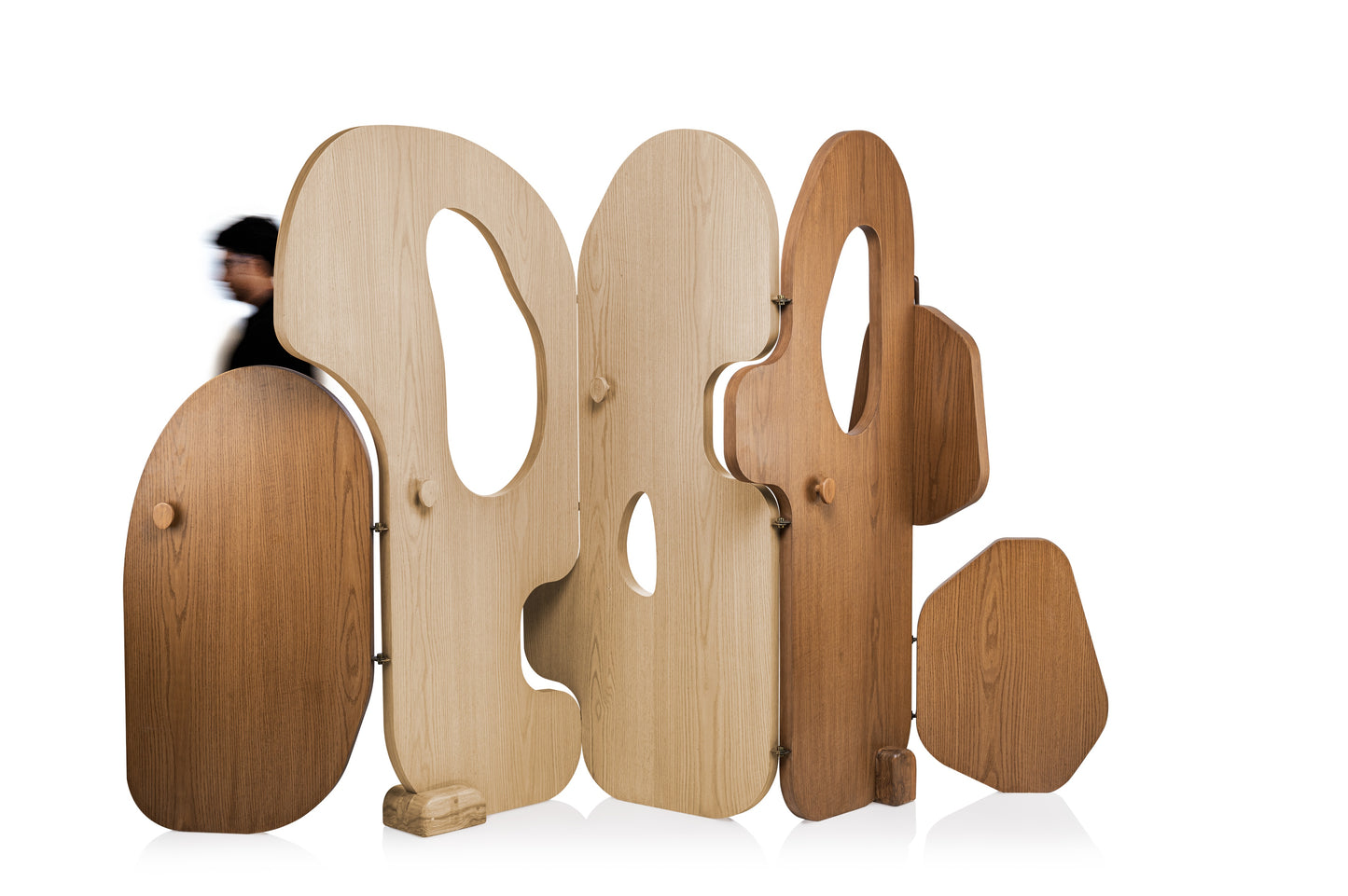 Hide & Seek Partition Screen